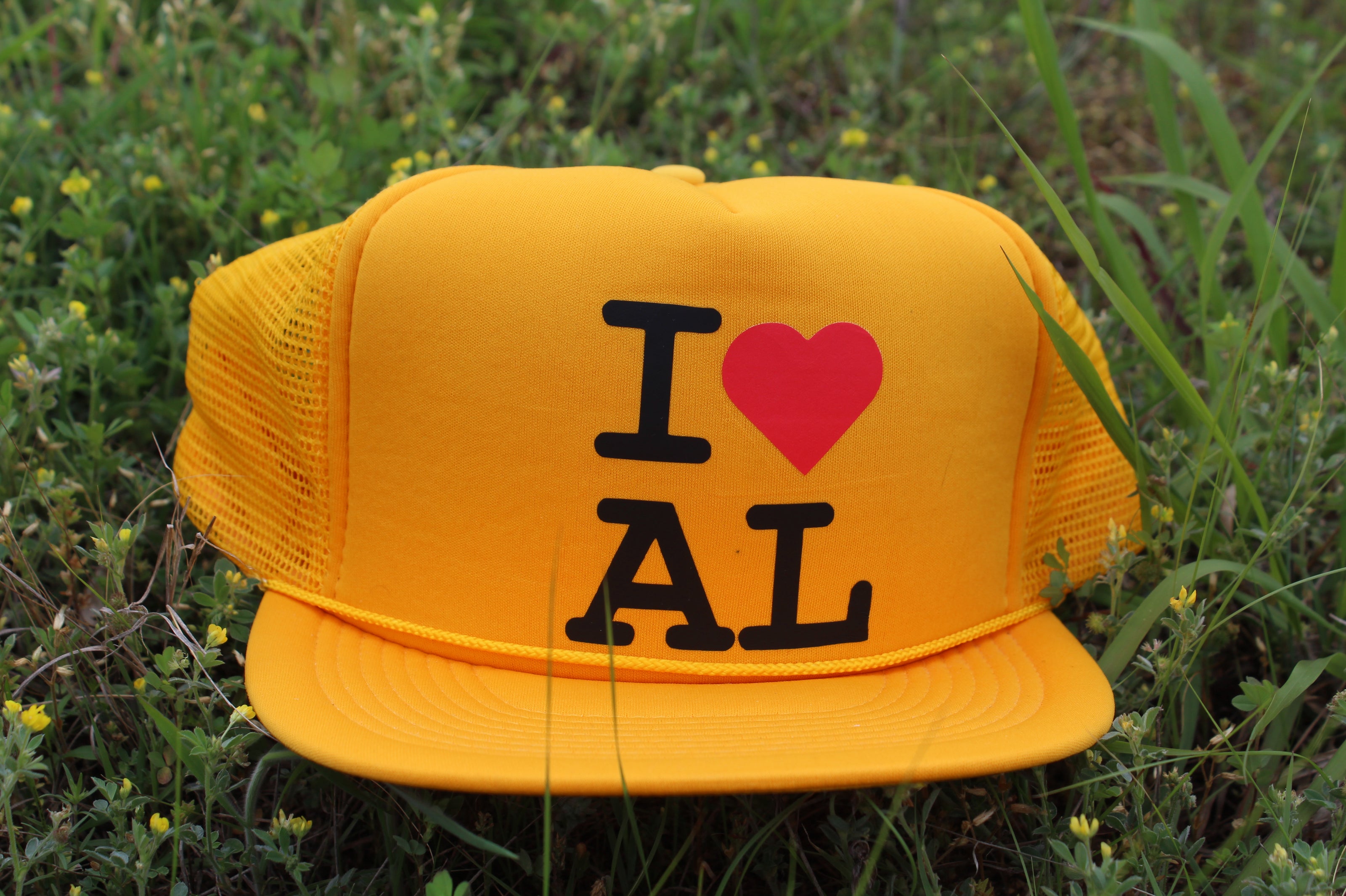 I <3 AL