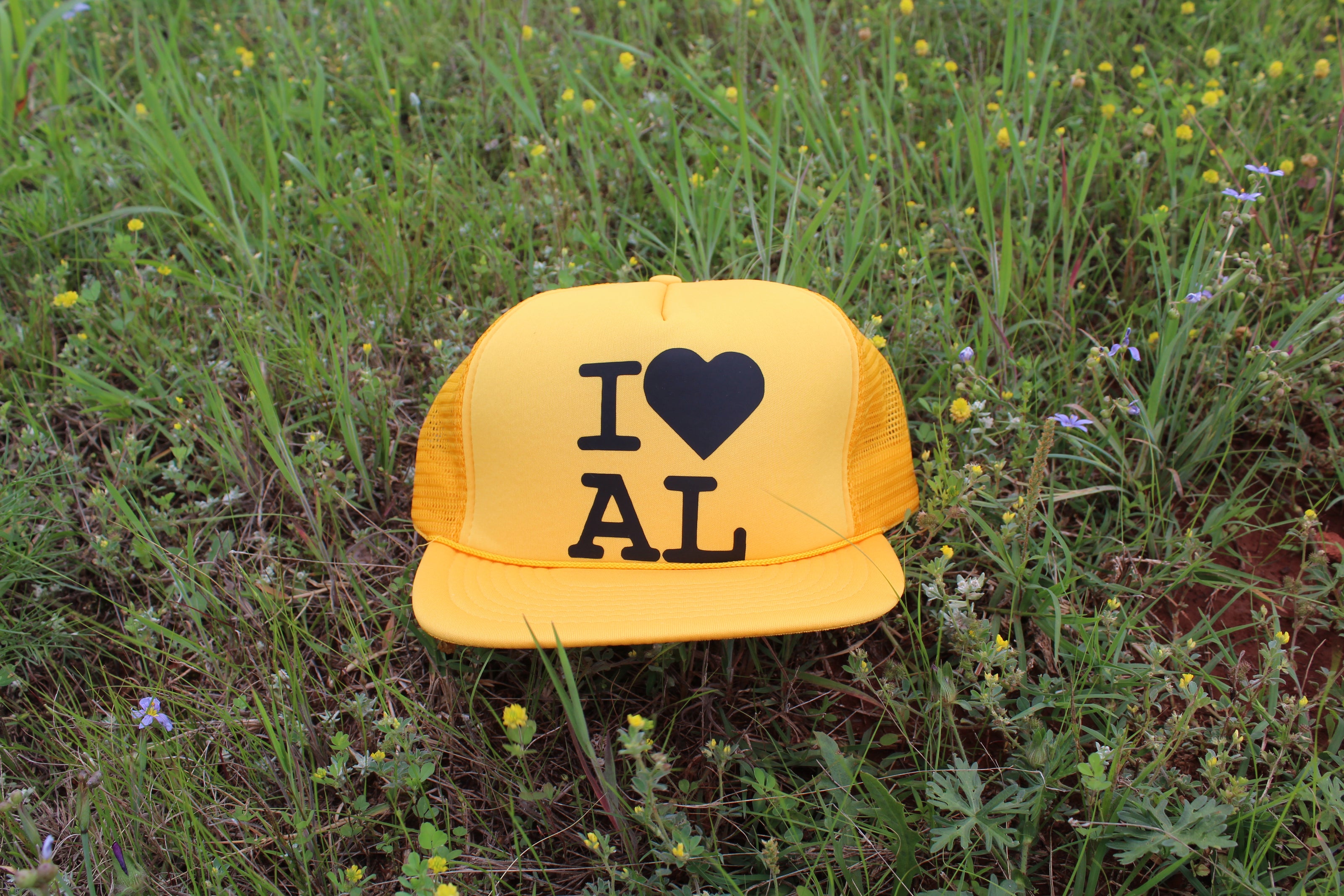 I <3 AL