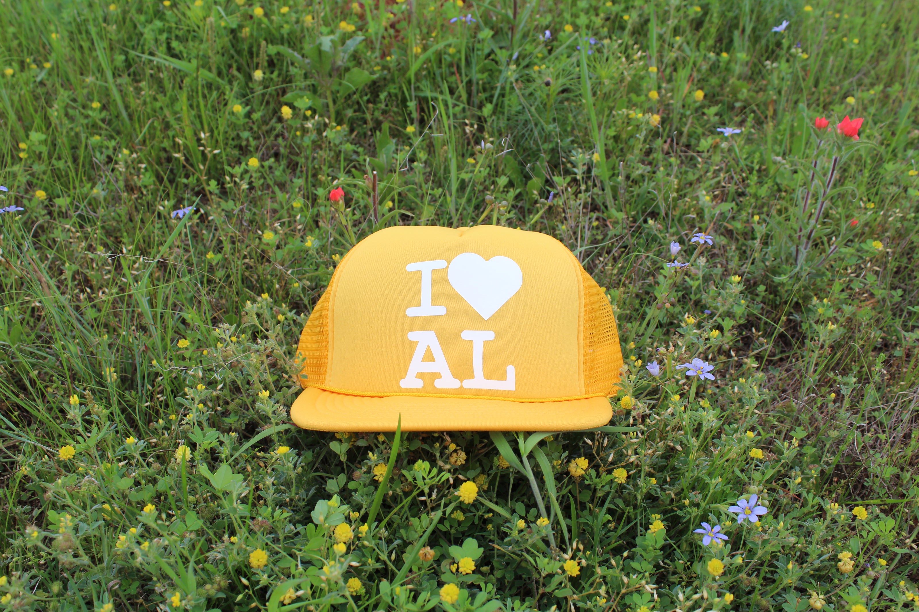 I <3 AL